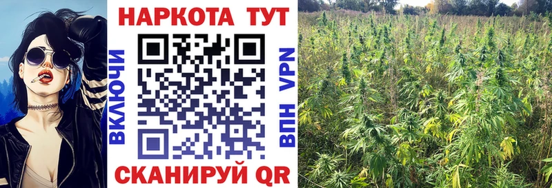 Где купить наркотики Малоархангельск ГАШИШ Cocaine Меф мяу мяу Альфа ПВП Канабис