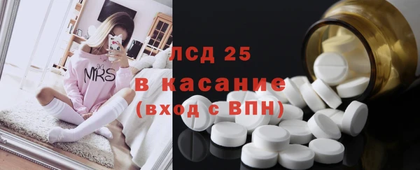 PSILOCYBIN Ростов